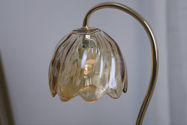 Amber Candle Warmer Lamp + Candle – Dark Wood Oval Base