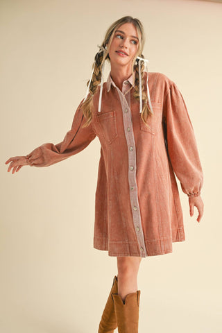 WASHED DENIM BUTTON DOWN FLARED MINI DRESS: Terra Cotta