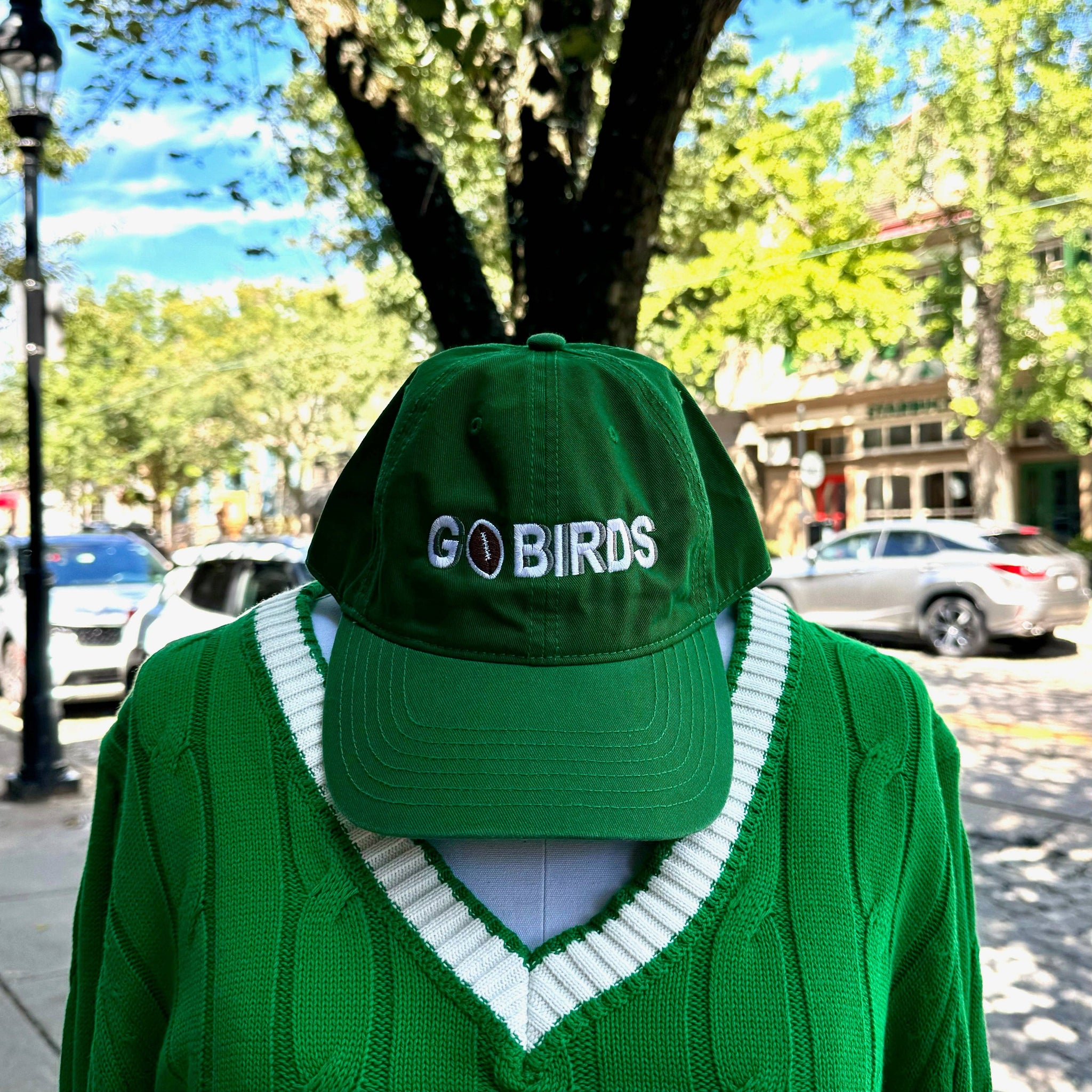 Go Birds Embroidered Cap