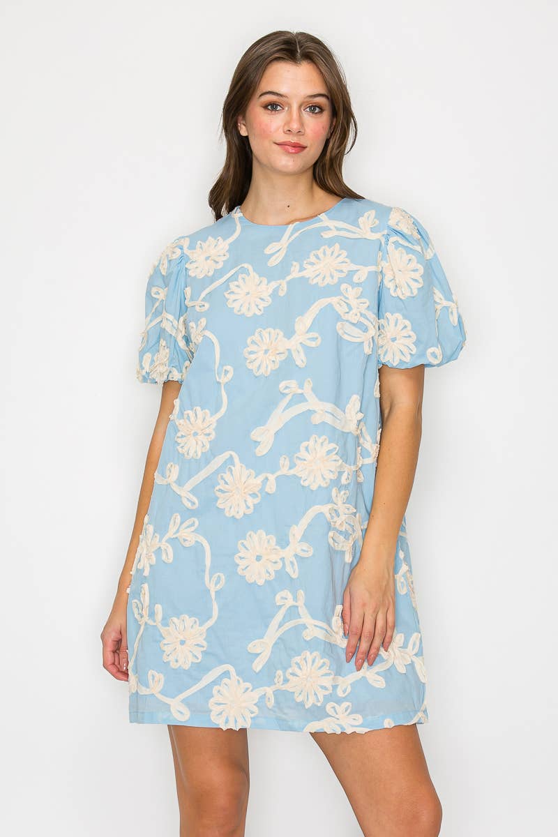 Baby Blue with White Rosette Detail Mini Dress:
